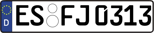 ES-FJ0313