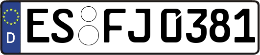 ES-FJ0381