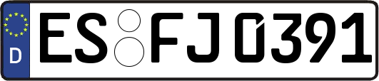 ES-FJ0391