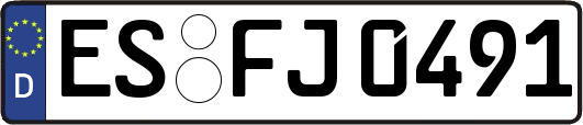 ES-FJ0491