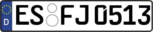 ES-FJ0513