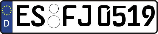 ES-FJ0519