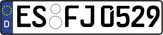 ES-FJ0529
