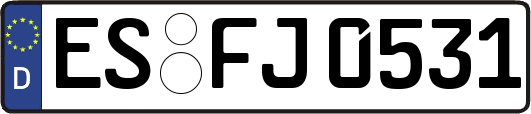 ES-FJ0531