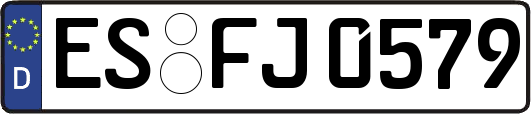 ES-FJ0579