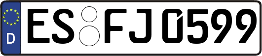 ES-FJ0599