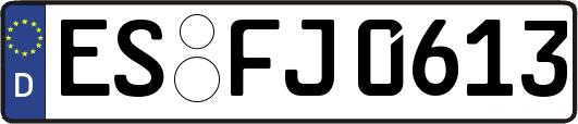 ES-FJ0613