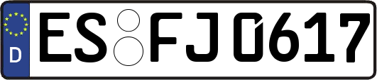 ES-FJ0617