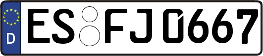 ES-FJ0667