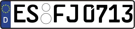 ES-FJ0713
