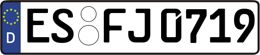 ES-FJ0719