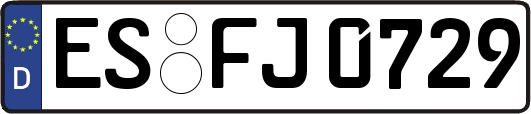 ES-FJ0729