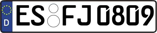 ES-FJ0809