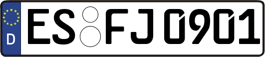 ES-FJ0901