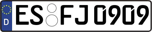 ES-FJ0909