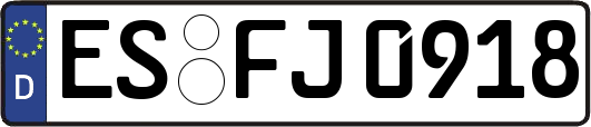 ES-FJ0918