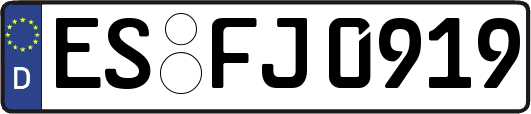 ES-FJ0919