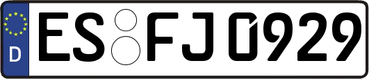 ES-FJ0929