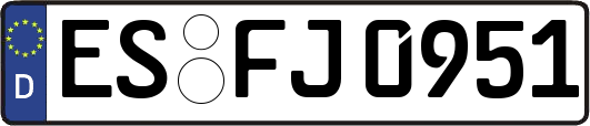 ES-FJ0951