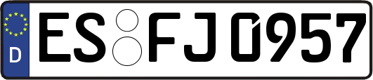 ES-FJ0957