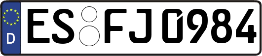 ES-FJ0984