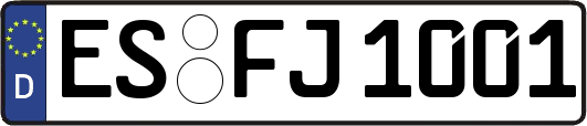 ES-FJ1001