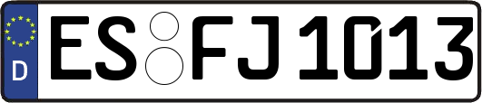 ES-FJ1013