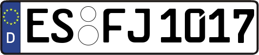ES-FJ1017