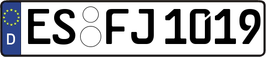 ES-FJ1019