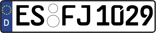 ES-FJ1029