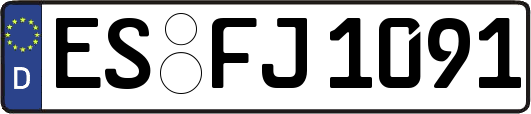 ES-FJ1091