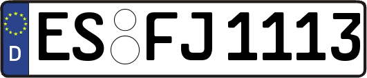ES-FJ1113