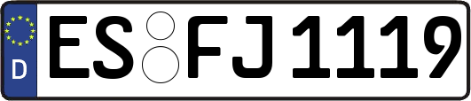 ES-FJ1119
