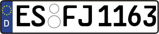 ES-FJ1163