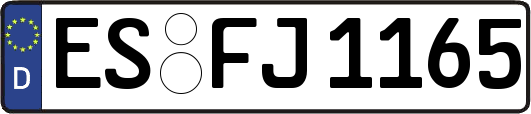 ES-FJ1165