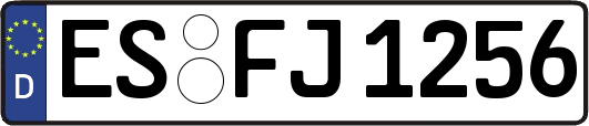 ES-FJ1256