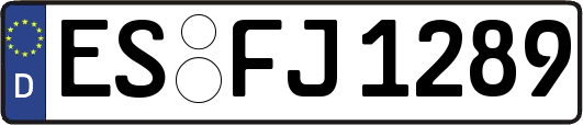 ES-FJ1289