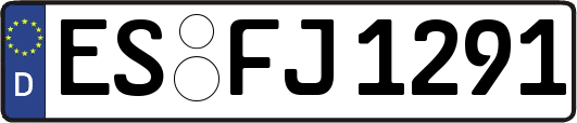 ES-FJ1291
