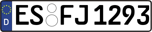 ES-FJ1293