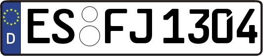 ES-FJ1304