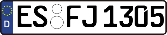 ES-FJ1305