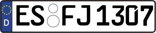 ES-FJ1307