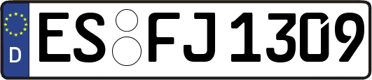 ES-FJ1309