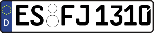 ES-FJ1310