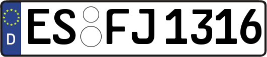 ES-FJ1316