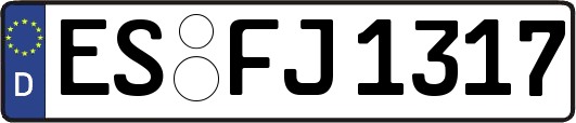 ES-FJ1317