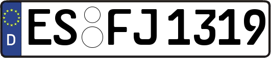 ES-FJ1319