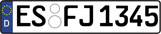 ES-FJ1345