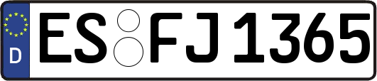 ES-FJ1365