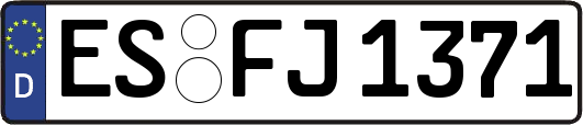 ES-FJ1371